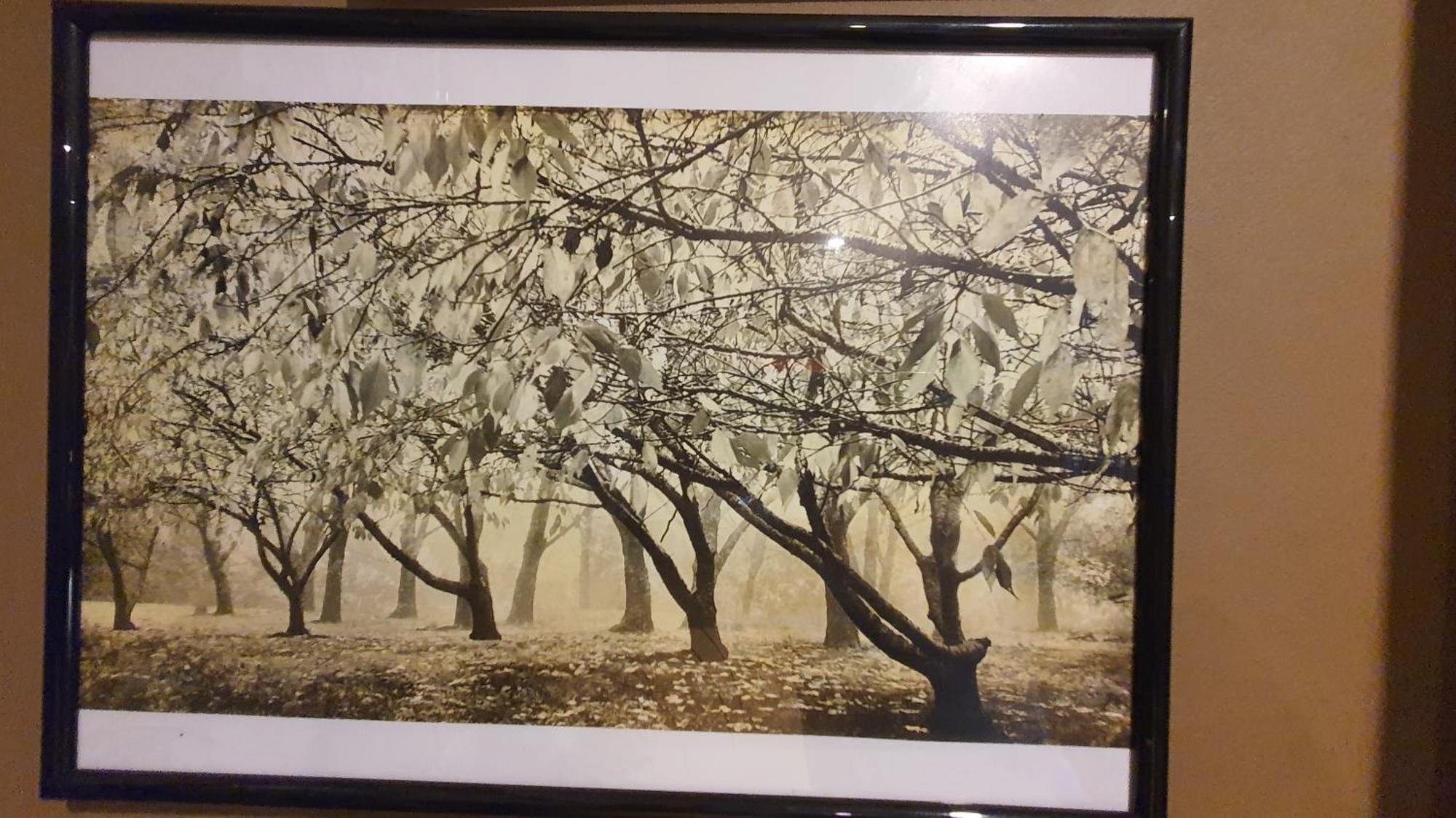 Bowral Road Art Gallery Bed And Breakfast Mittagong Exterior photo