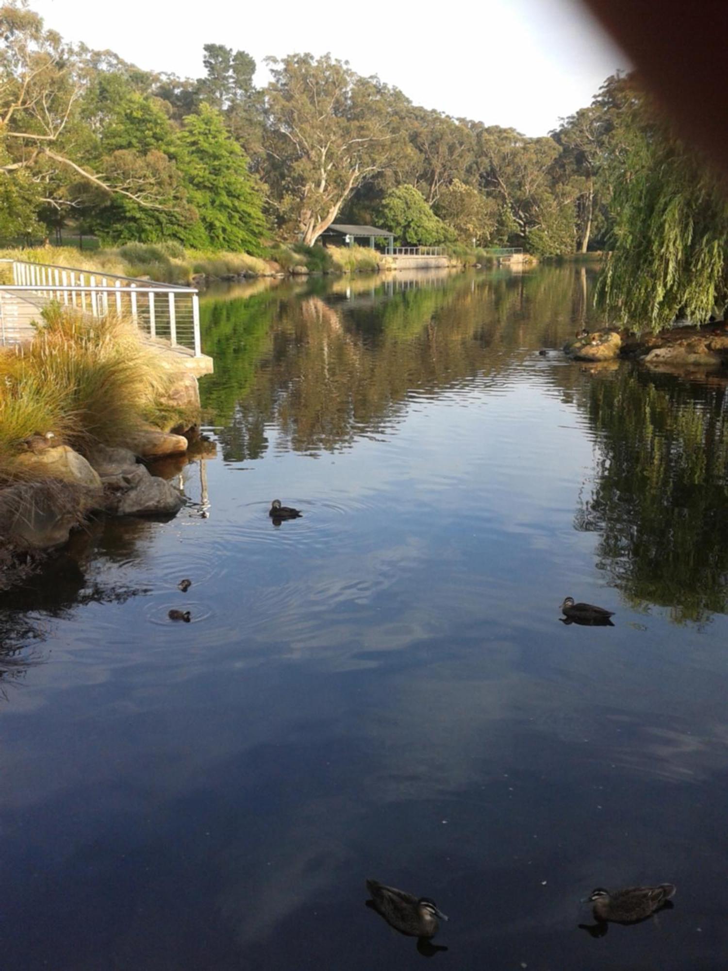 Bowral Road Art Gallery Bed And Breakfast Mittagong Exterior photo